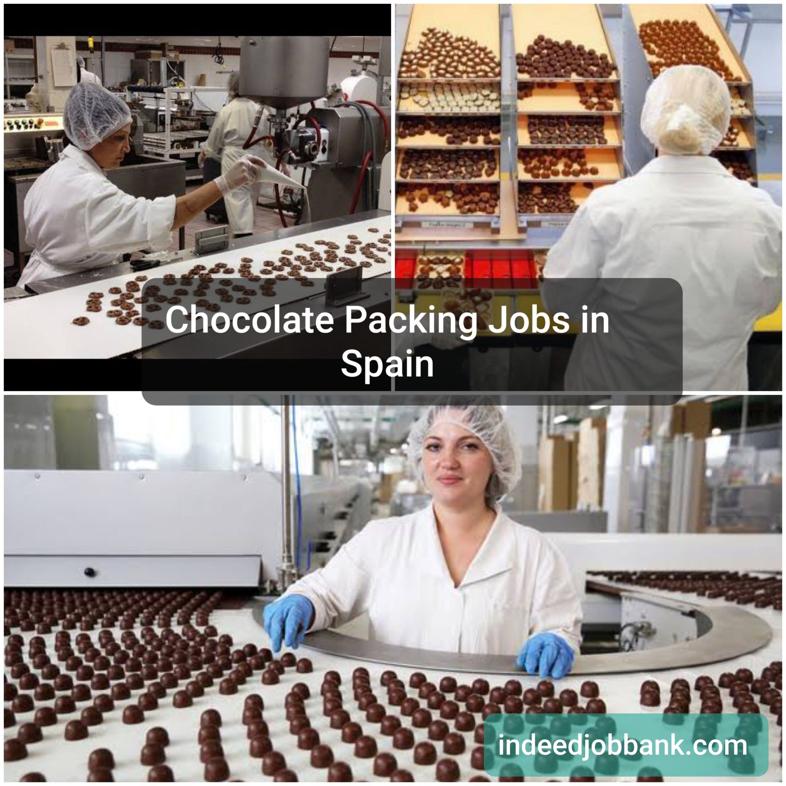 Latest Chocolate Company Packaging Jobs Opportunity in Spain