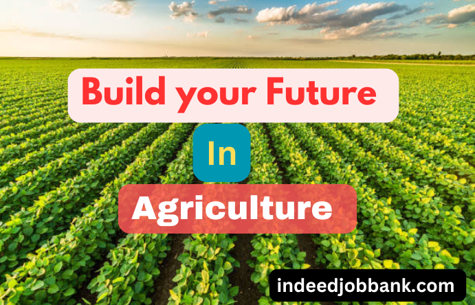 Join Syngenta, Build Your Future in Agriculture